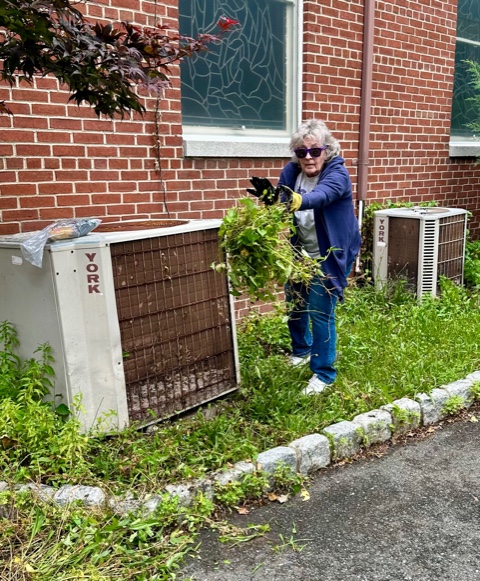 2025 Clean Up Day